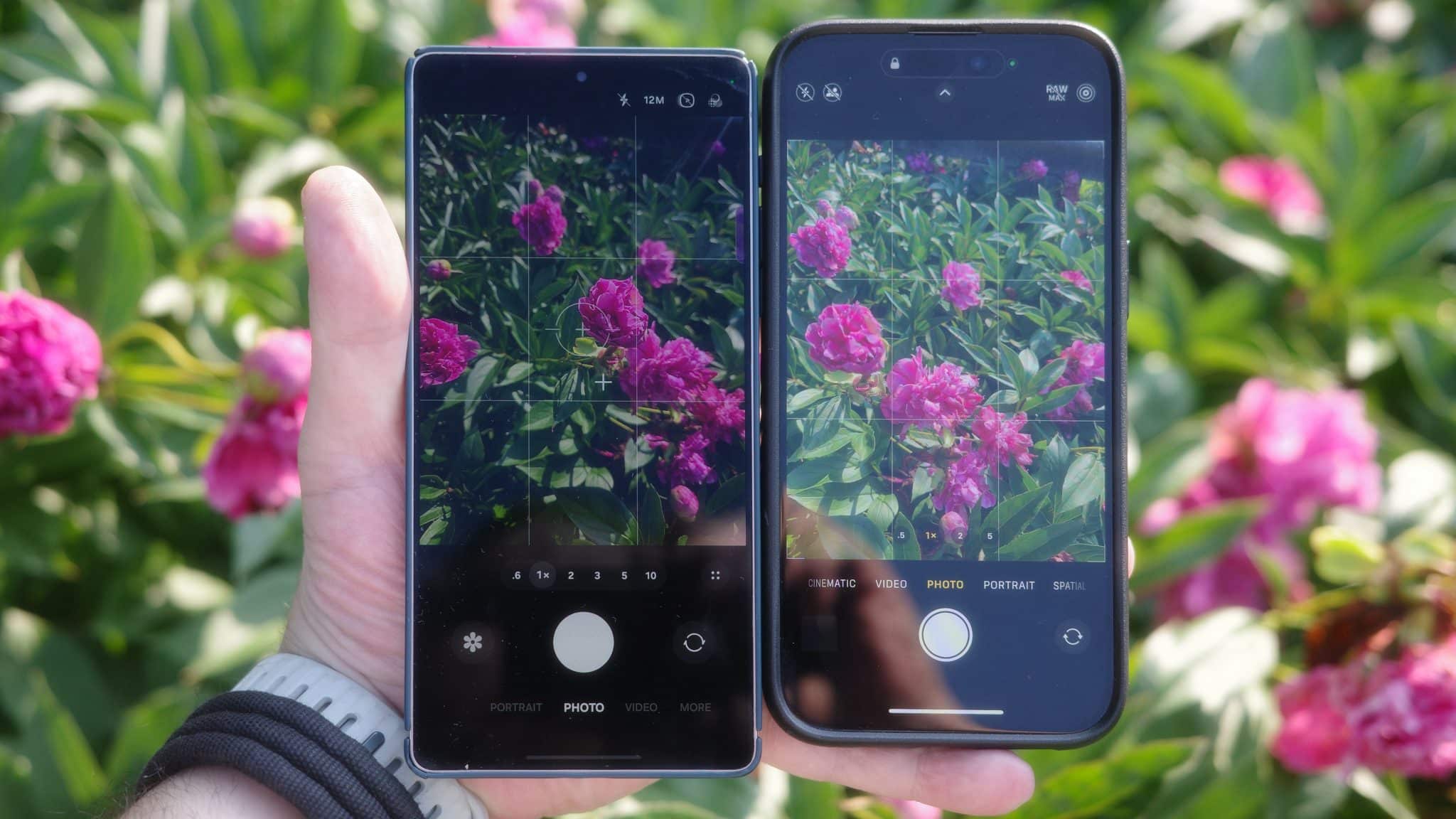 Los mejores teléfonos con cámara que toman fotografías de flores rojas bajo la luz solar directa, sostenidas individualmente y una al lado de la otra.