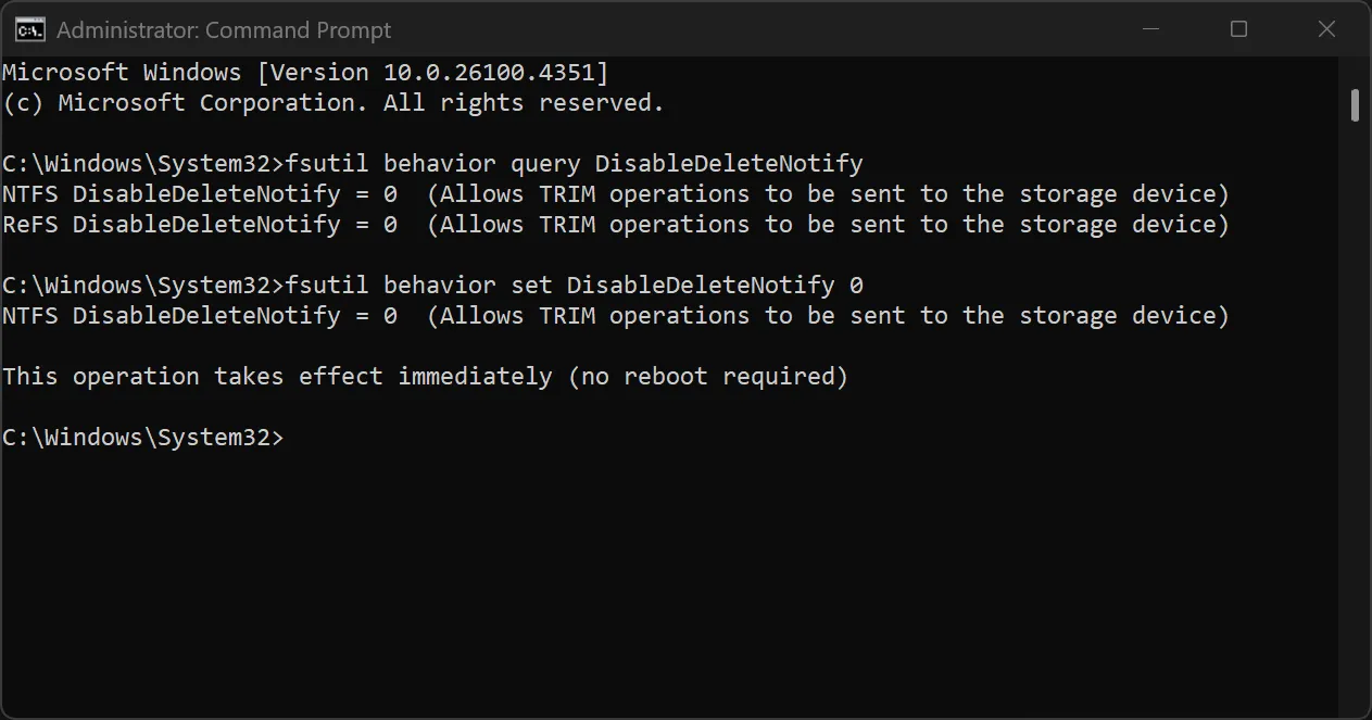Eseguire una query nel prompt dei comandi dell'amministratore per controllare lo stato di TRIM.