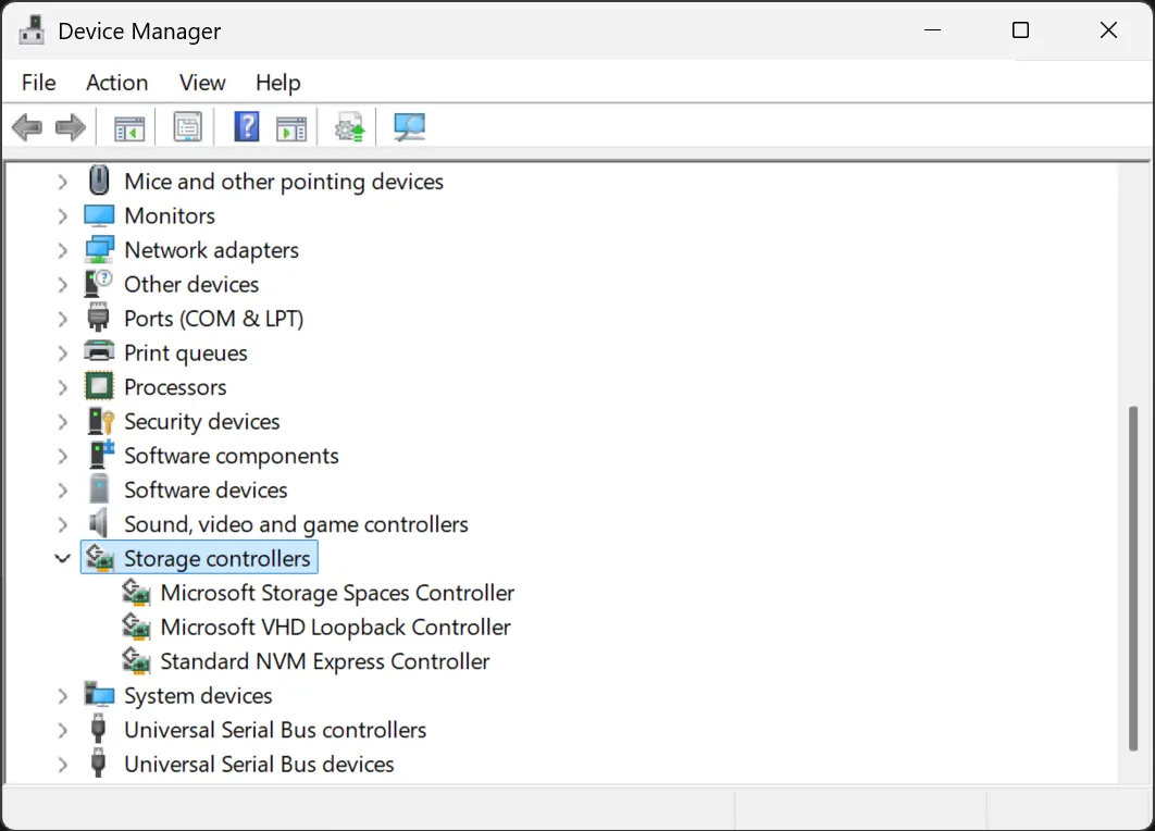 I controller di archiviazione sono definiti in Gestione dispositivi di Windows.