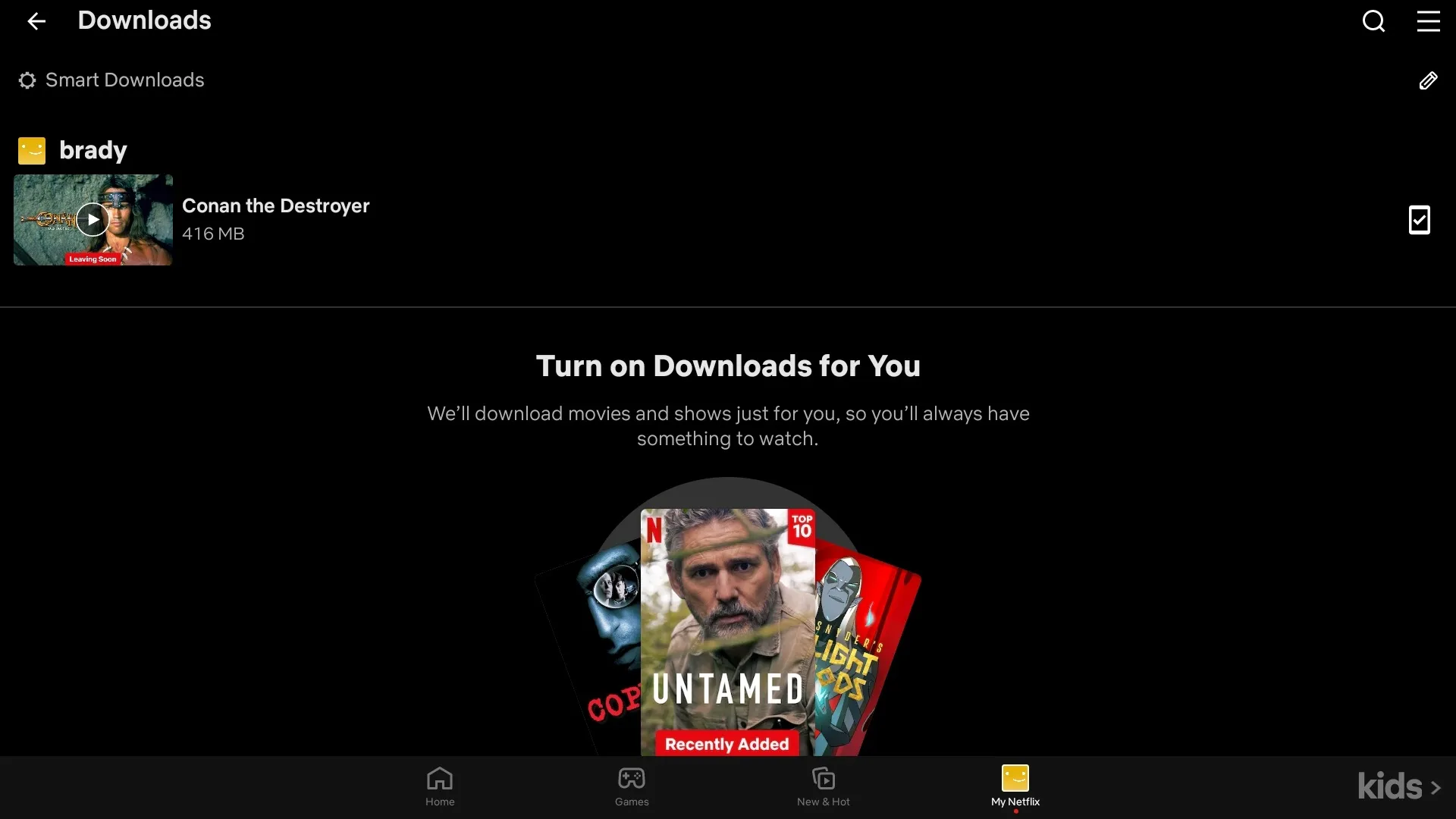 Uma lista de conteúdo baixado na página de downloads da Netflix