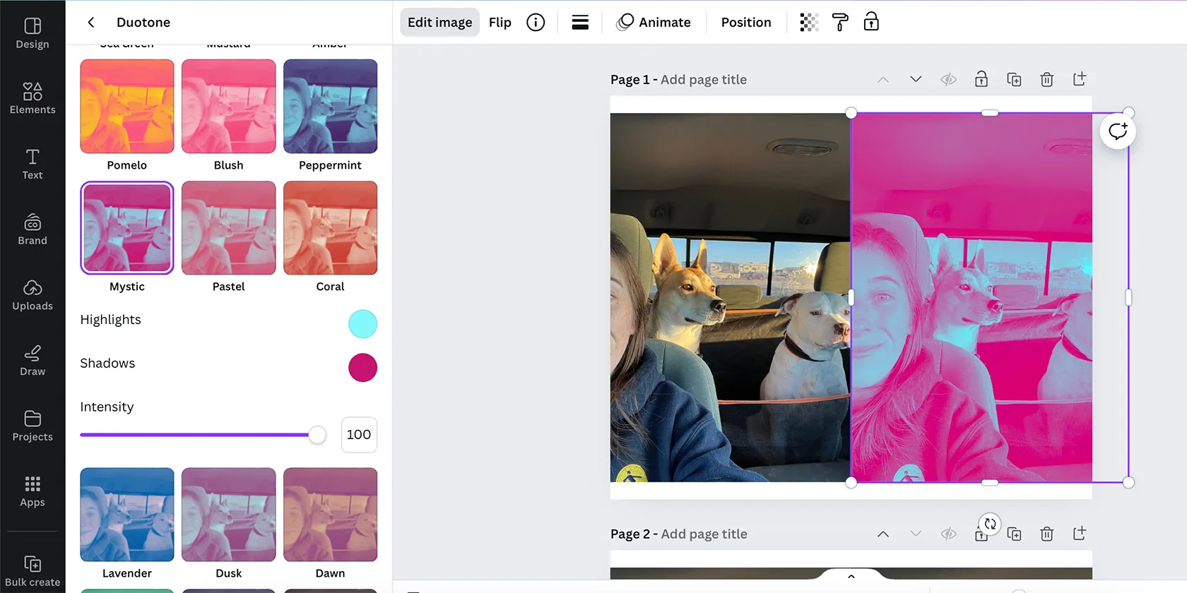 Canva 中的雙色調效果
