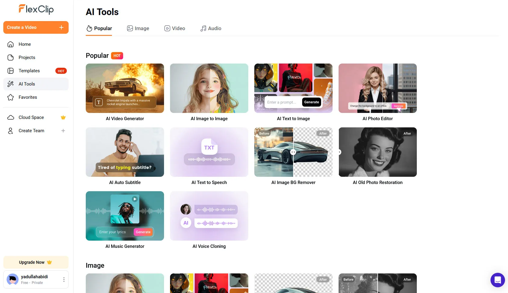 Dashboard di livello gratuito FlexClip