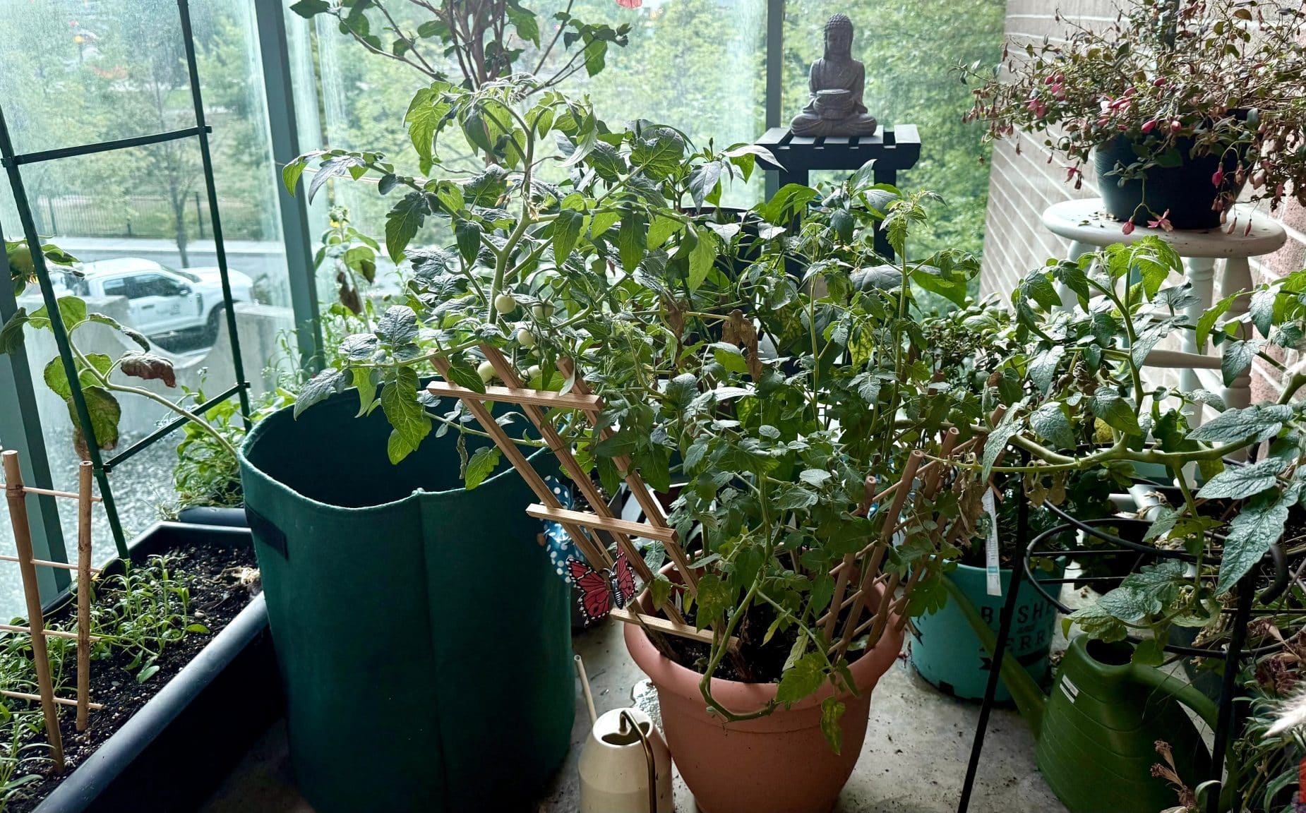充滿植物的陽台花園