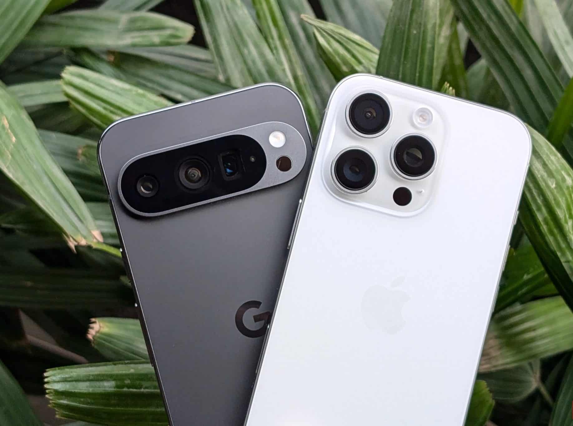 Pixel 9 Pro 和 iPhone 16 Pro 在一株植物前