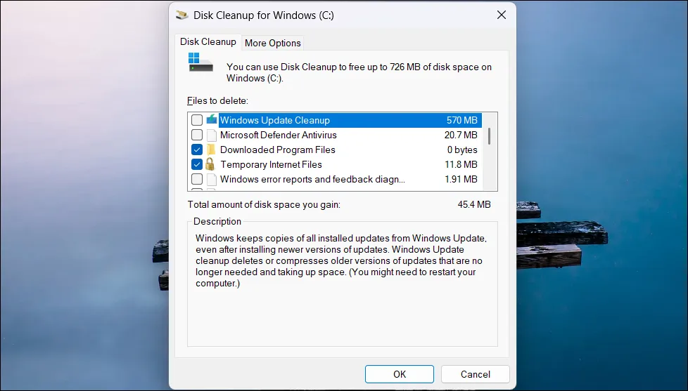 正在執行磁碟清理實用程式的 Windows 11 桌面