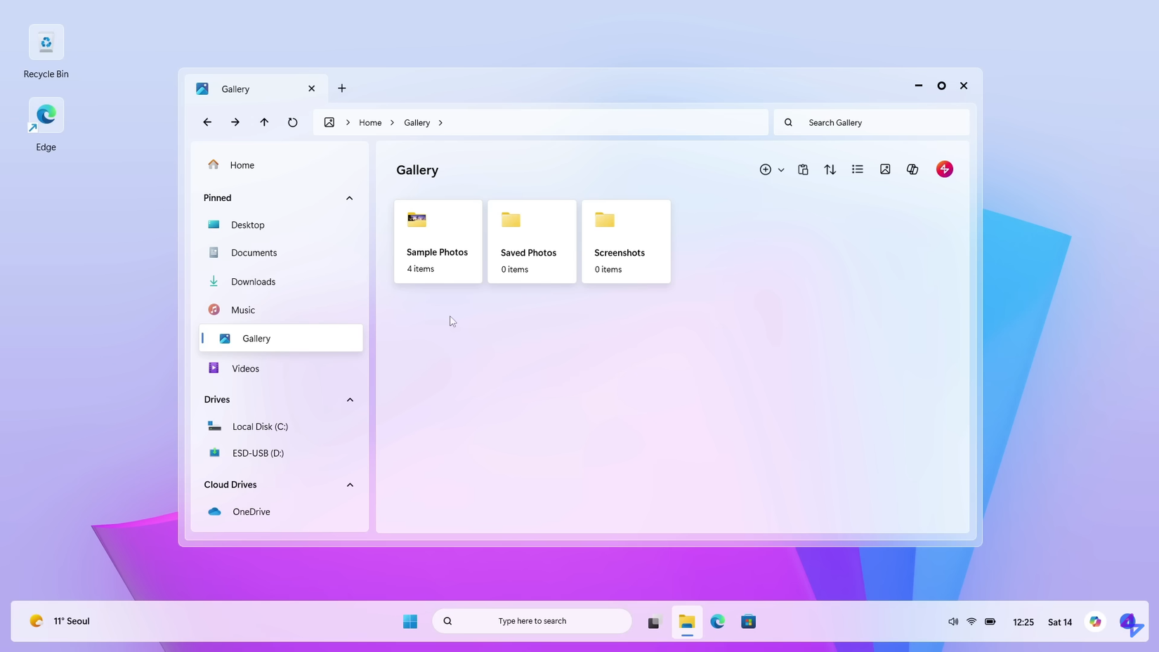 02 Esplora file e desktop di Windows 12 Concept