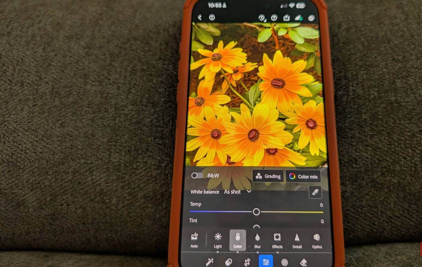 Non sono un fotografo professionista, ma questa app mi offre capacità fotografiche semi-professionali.