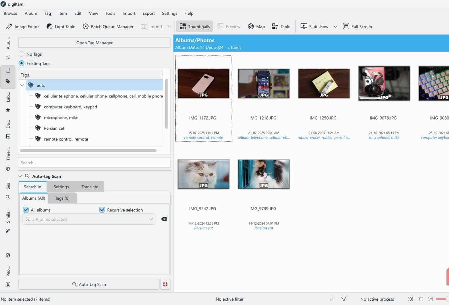 Auto tag screen in digiKam