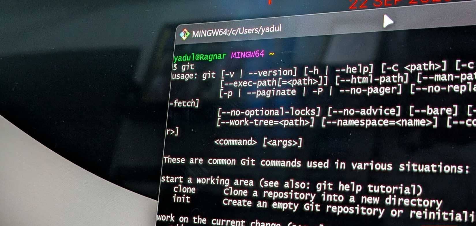 Windows 上 Git 的命令列介面 (CLI)。