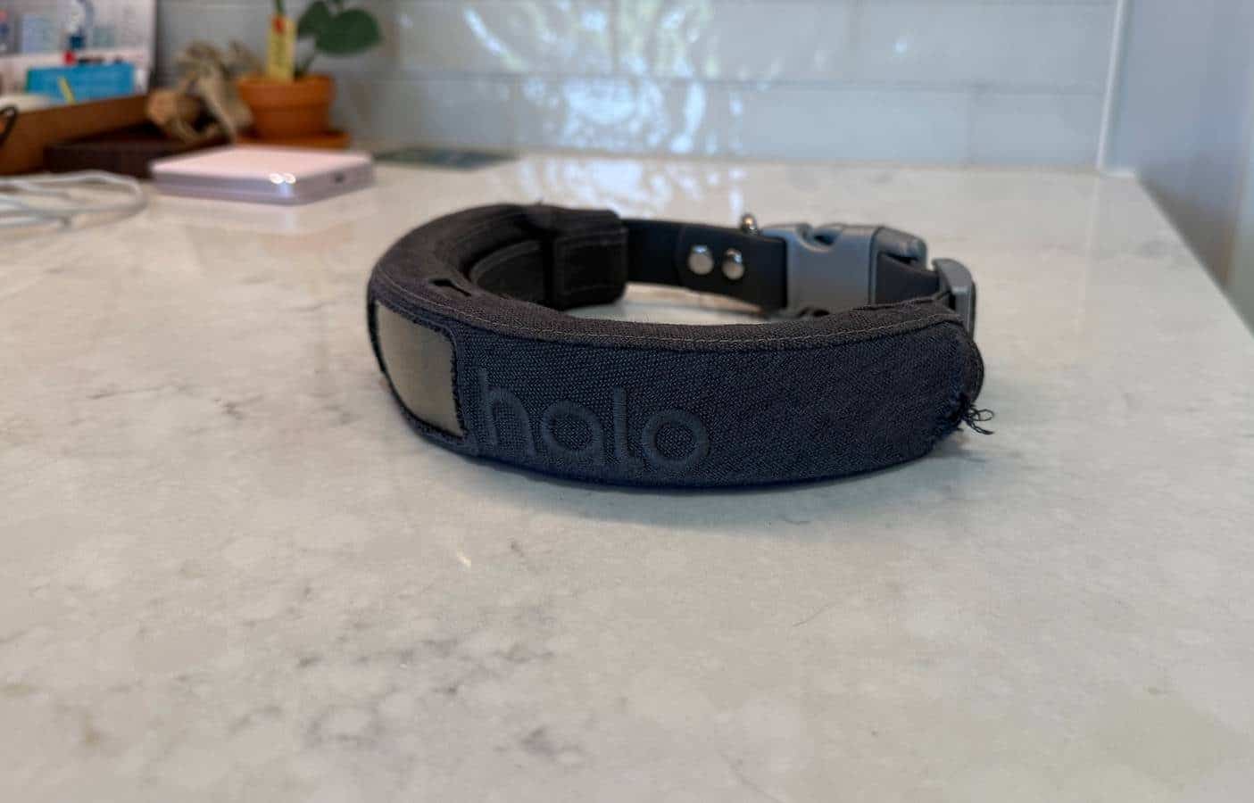 Dieses intelligente Hundehalsband für 549 US-Dollar hat mir einen Zaun im Wert von 10,000 US-Dollar erspart: Eine innovative Lösung zur Eindämmung von Haustieren