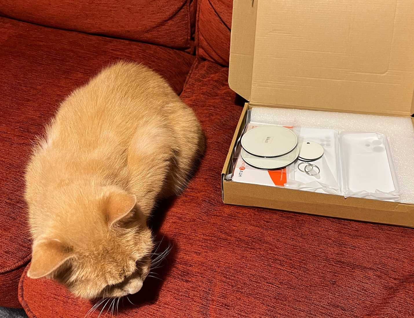 Materiales de sublimación HTVRont en una caja junto a un gato naranja.
