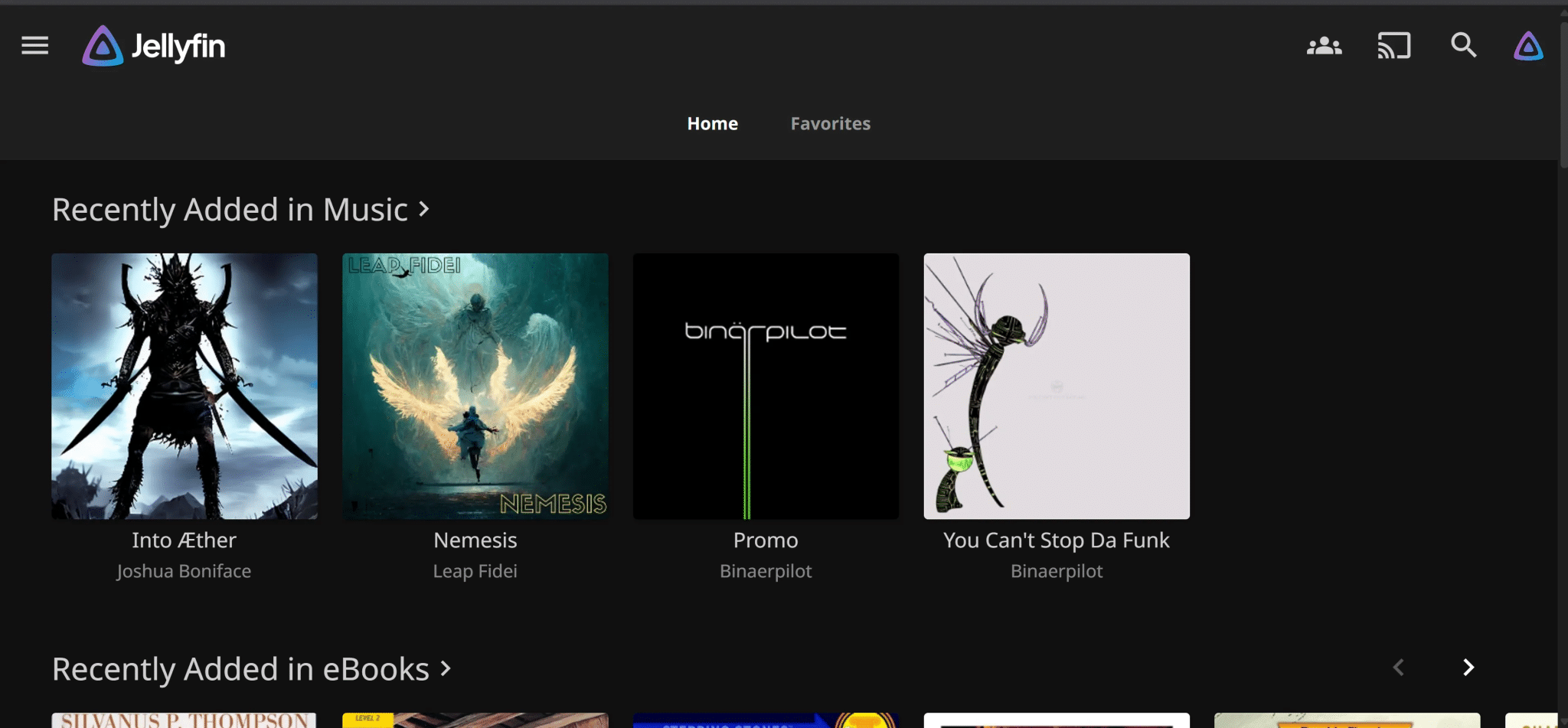 Schermata iniziale della demo di Jellyfin con selezioni musicali casuali.