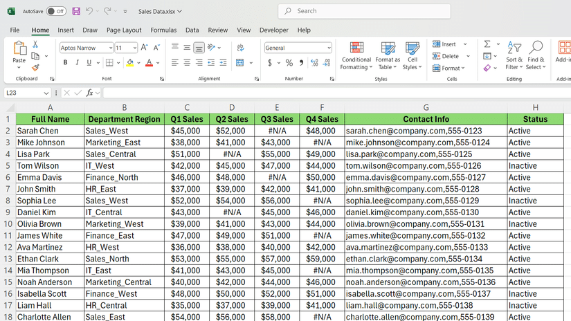 Set di dati dei rappresentanti di vendita in Excel.