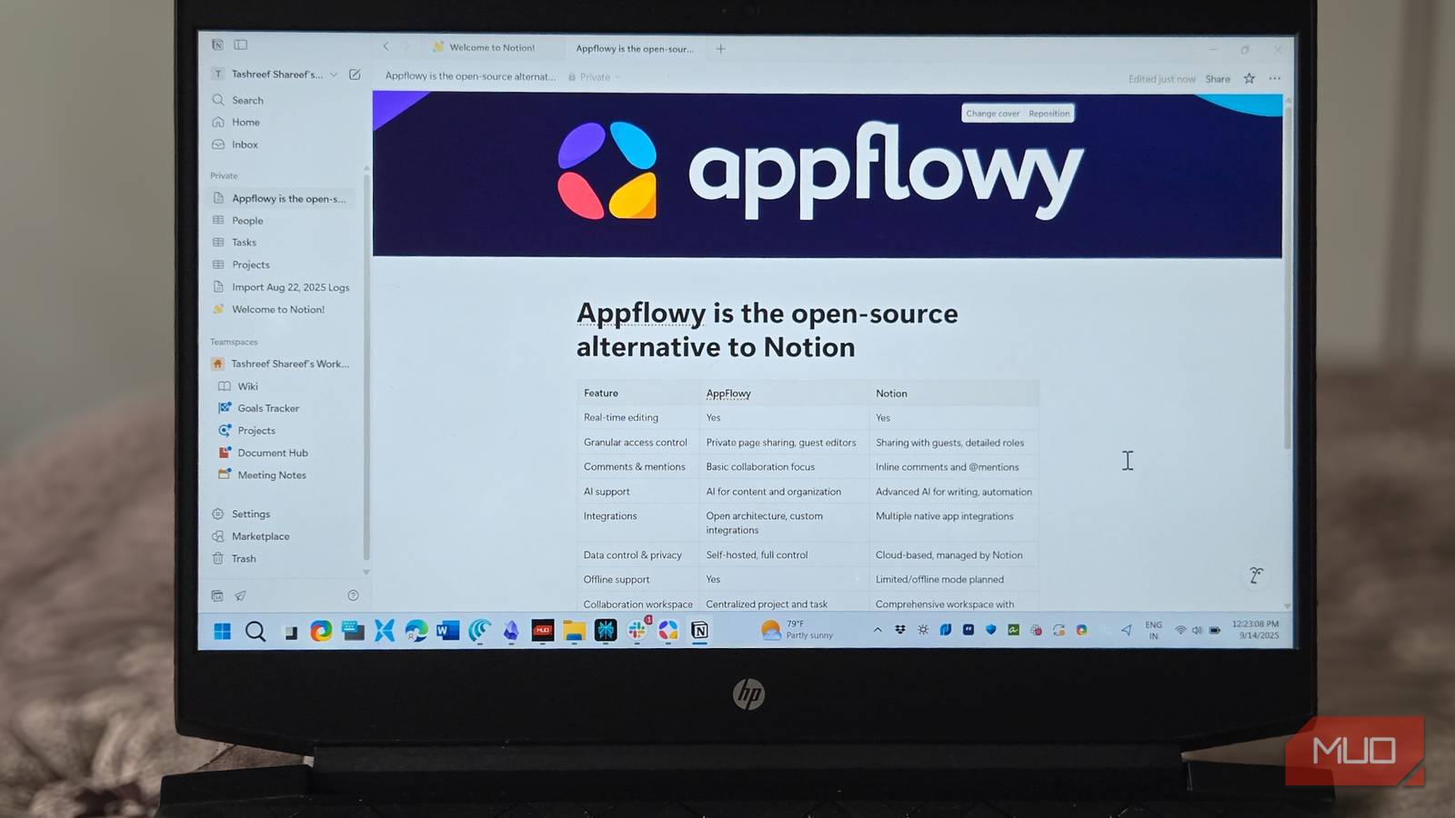 Ho sostituito Notion con un'applicazione open source e ora sono di nuovo proprietario dei miei dati.