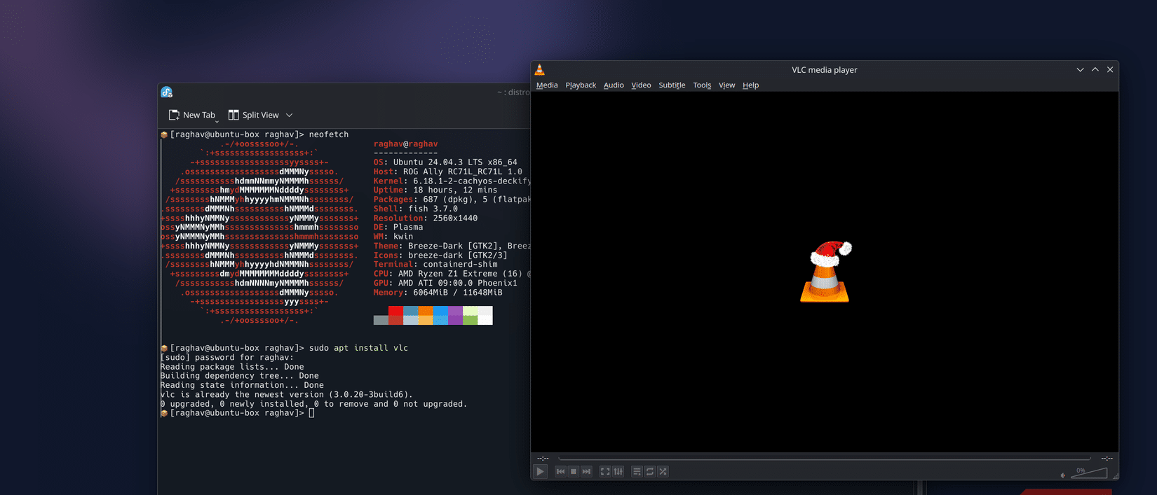 VLC è aperto tramite Distrobox