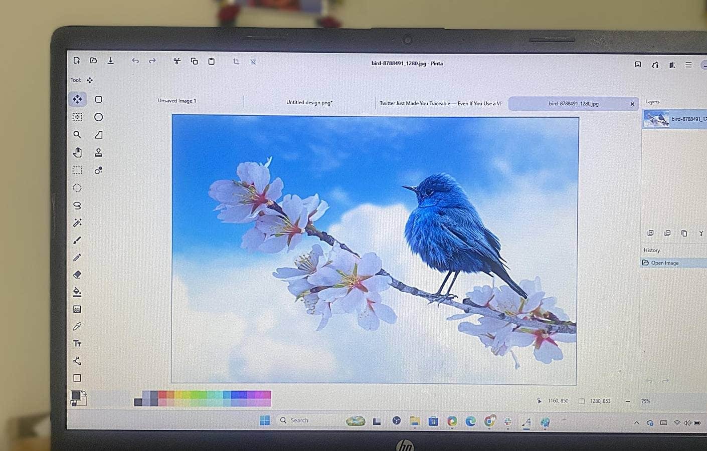 Ho sostituito Paint.NET con questo strumento gratuito e open source e lo adoro.