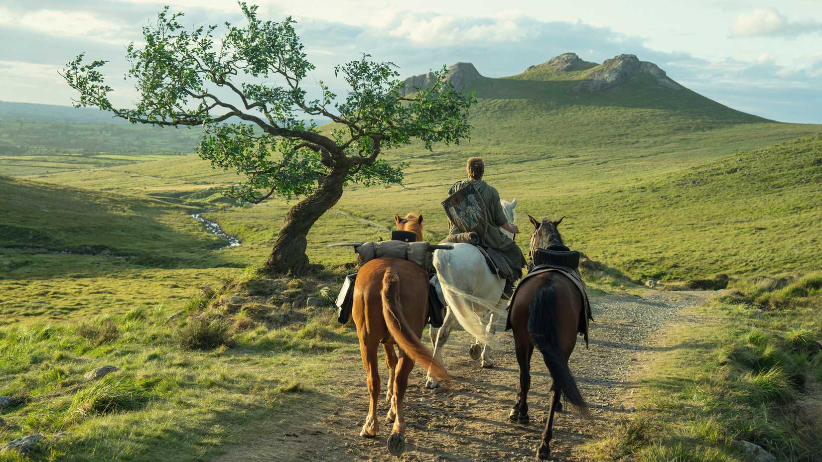 Dunk near the tree where he buries Ser Arlan of Pennytree in A Knight of the Seven Kingdoms