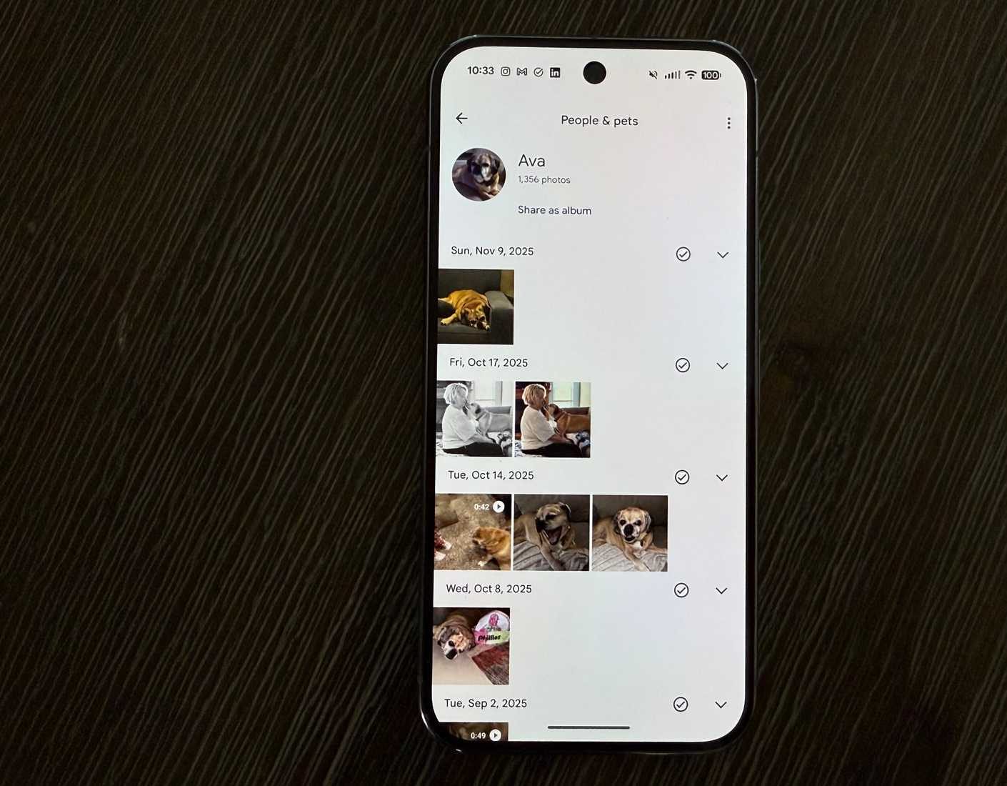 Foto di cani di Google Foto