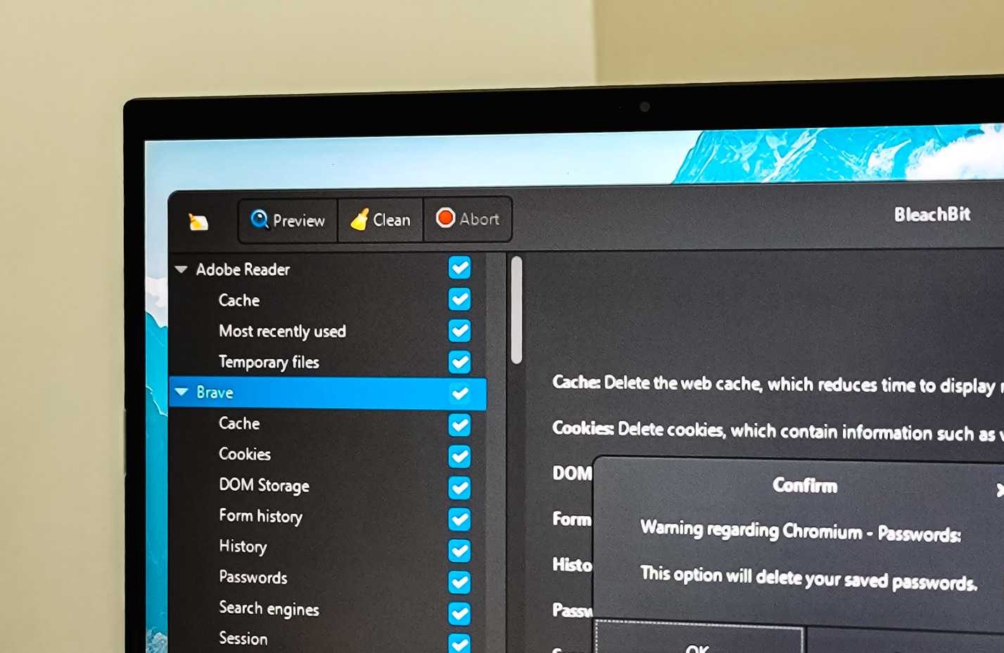 Bleachbit 應用程式運行在 Windows 11 電腦上