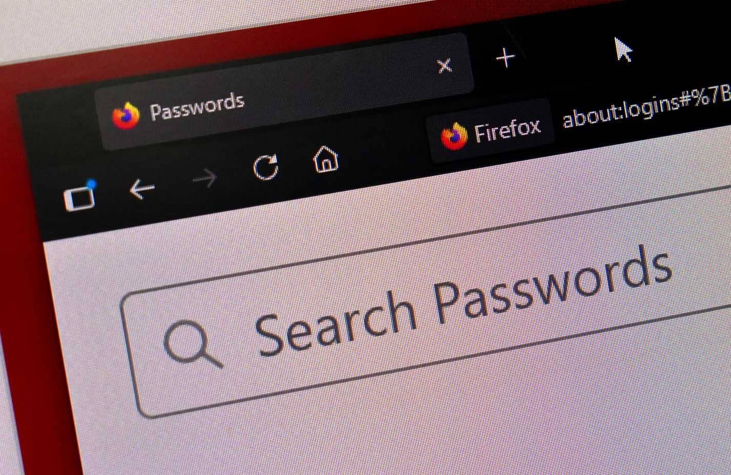 Uno screenshot ravvicinato dello schermo di un computer che mostra il gestore delle password in Firefox.