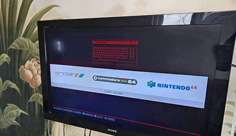 I controller vengono visualizzati quando si aggiungono le ROM del gioco alla cartella corretta.