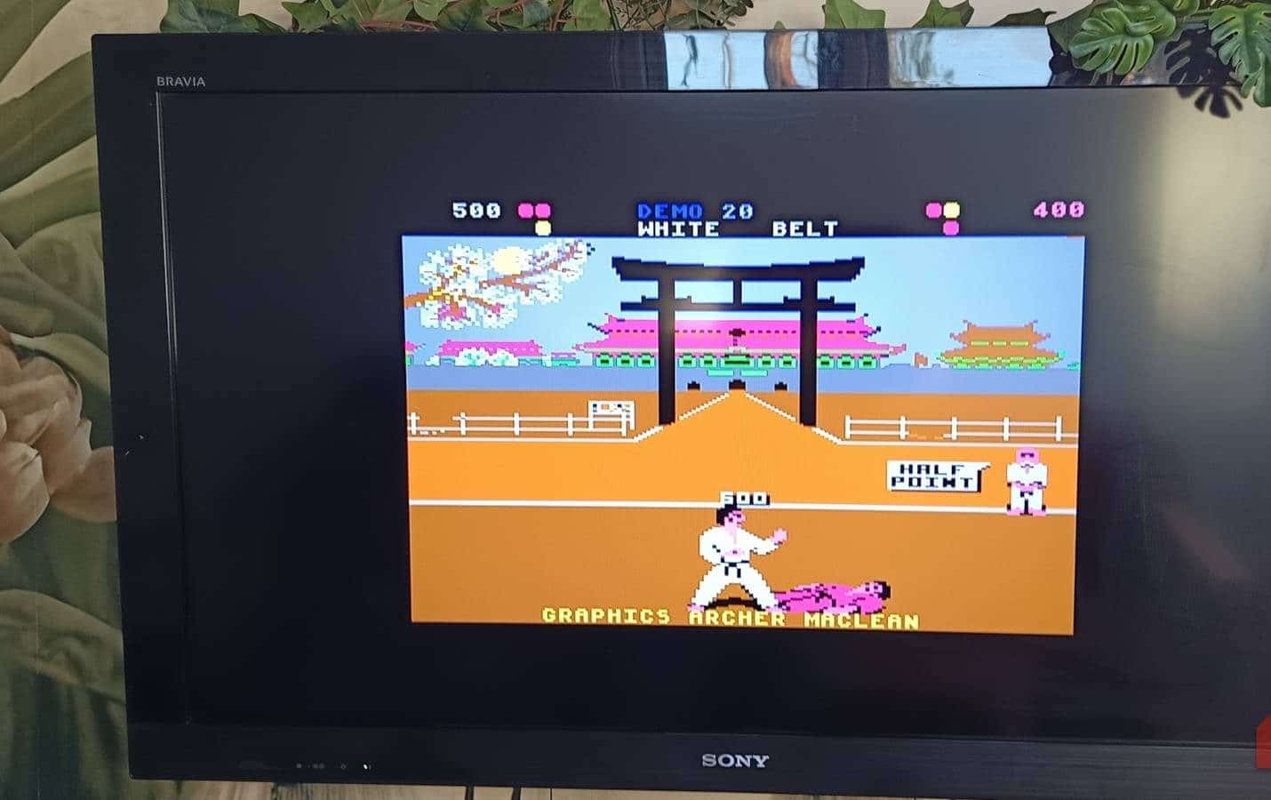 Ho costruito il mio RetroPie su un Raspberry Pi 3B ed ho evitato gli errori più comuni.
