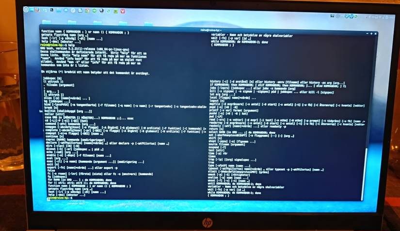 Il terminale Linux è pieno di testo.
