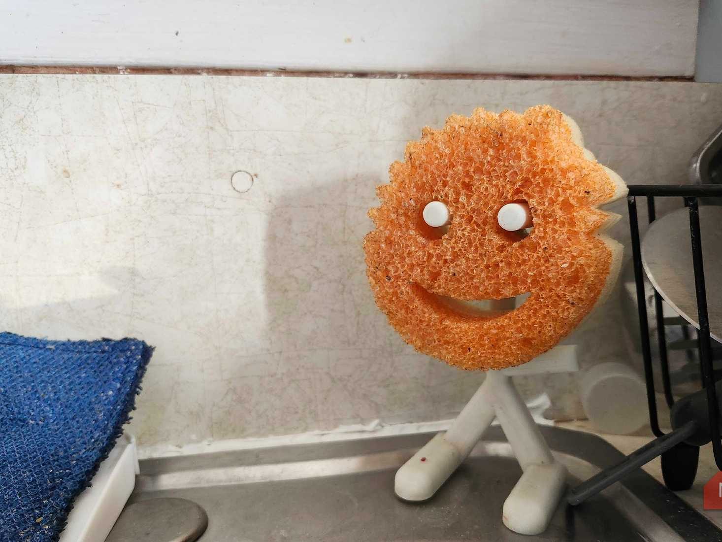 水槽上的 Scrub Daddy 收納架